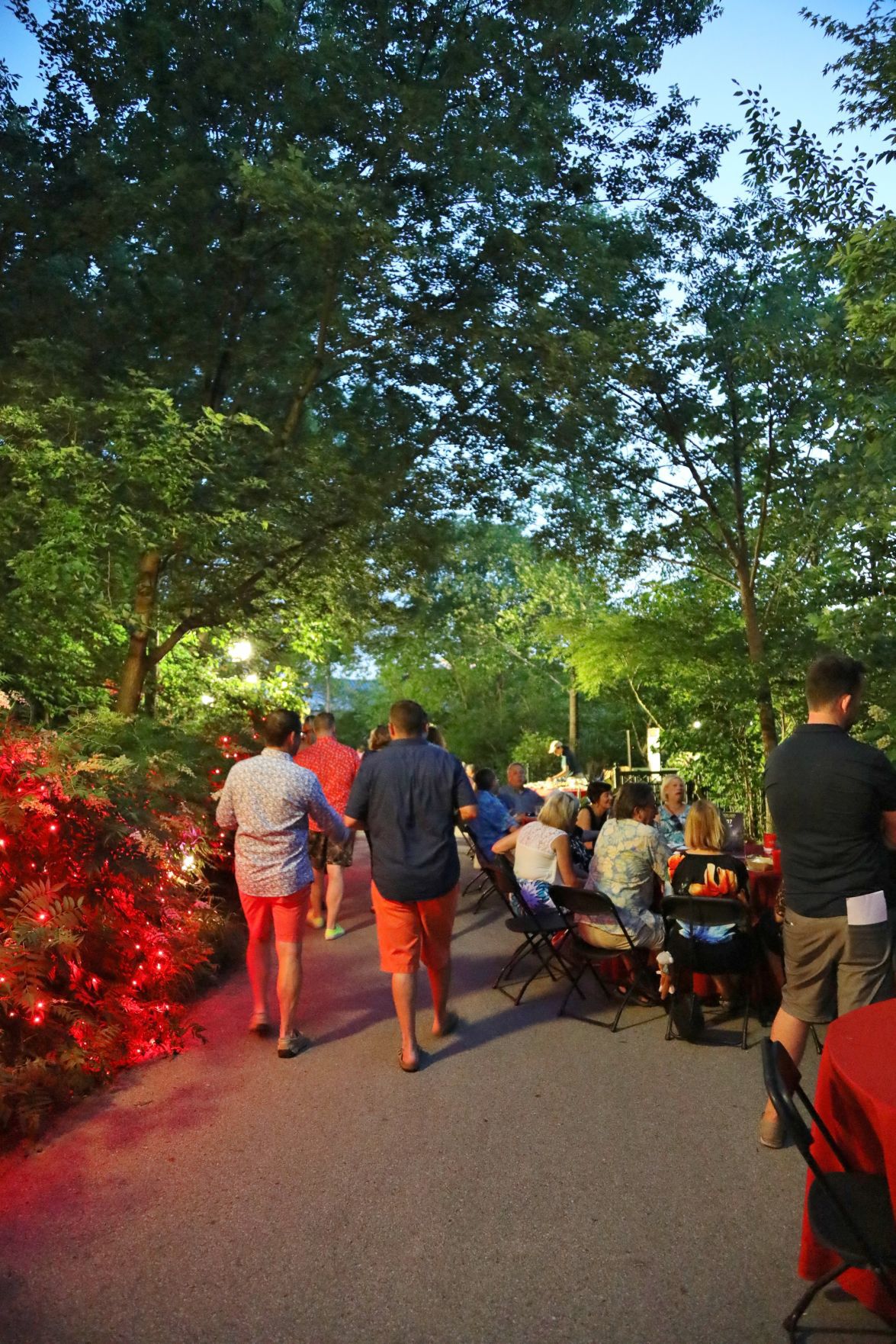 2018-Zoo-Ado-046.JPG